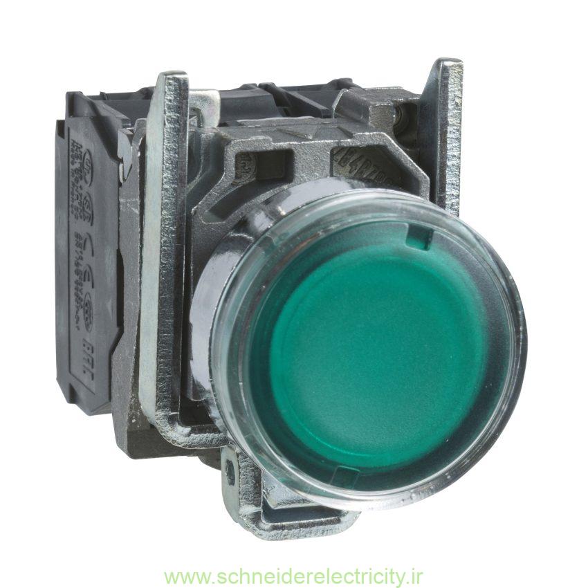 پوش باتن فلزی سبز اشنایدر الکتریک با LED داخلی 220 تا 240 ولت AC
